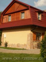 Kamień łupek żółto-złoty słoje