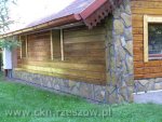 Kamień dendryt paproć